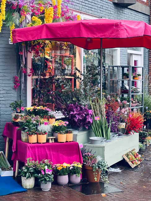 A vibrant outdoor flower display outside a florist shop, featuring a variety of fresh flowers arranged in pots and containers. The arrangement includes purple, pink, yellow, and red blooms such as orc