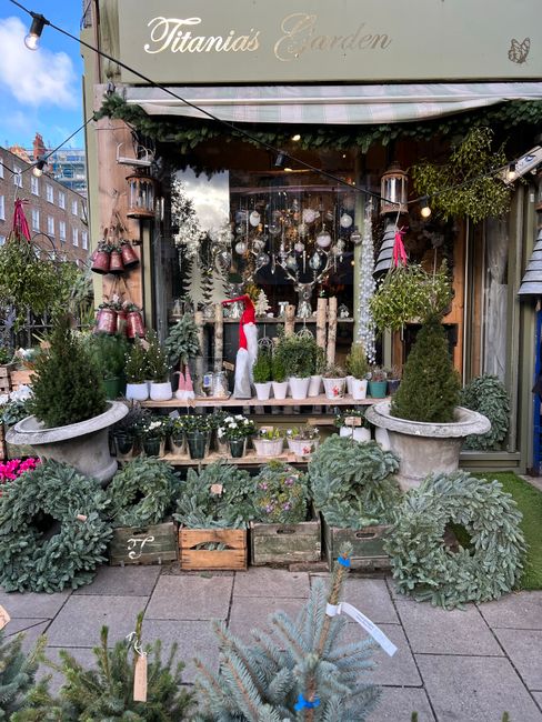 A charming flower shop display featuring a variety of fresh potted plants and floral arrangements arranged on wooden shelves and in decorative pots. Prominent among the display are lush green foliage